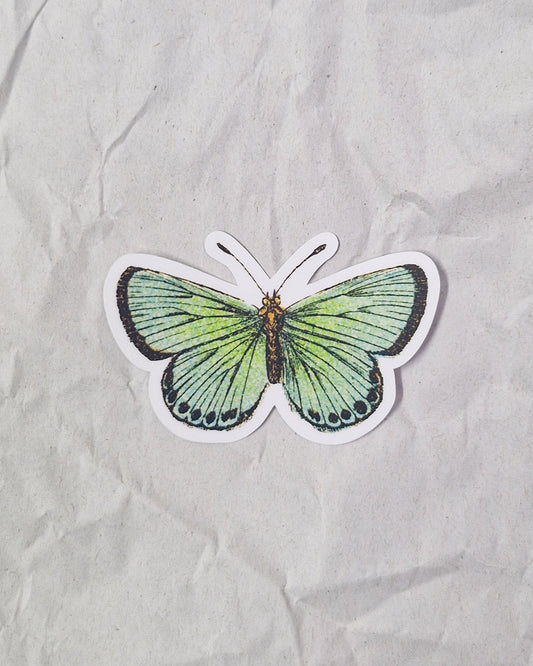 Green Butterfly Sticker