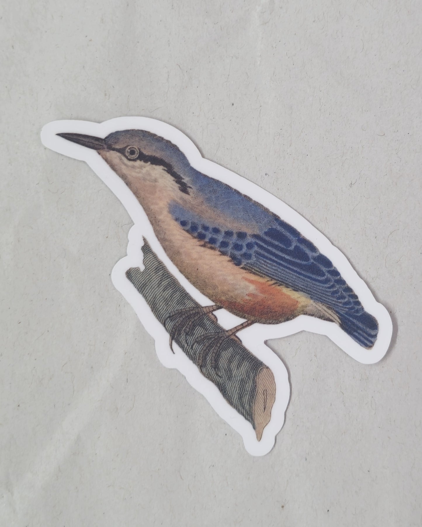 Perching Nuthatch Vinyl Sticker