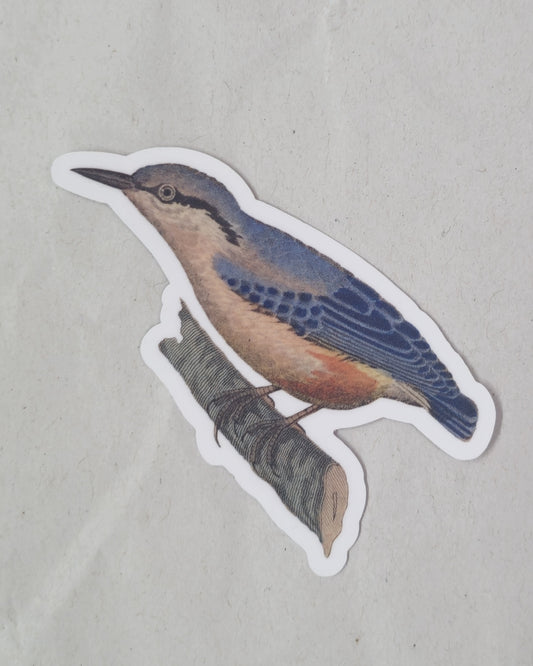 Perching Nuthatch Vinyl Sticker