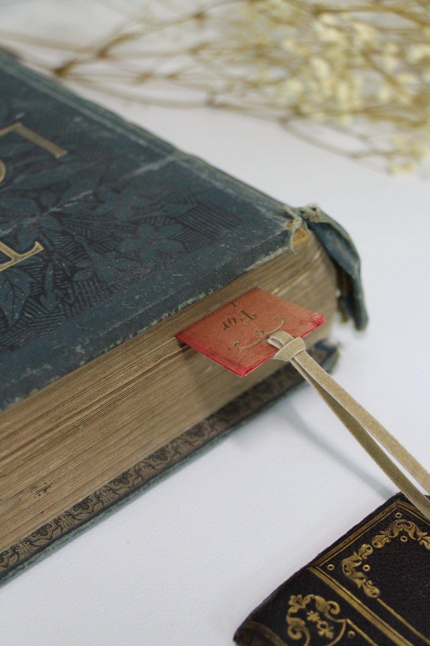 "For Love of a Rose" - Second Chapter Bookmark