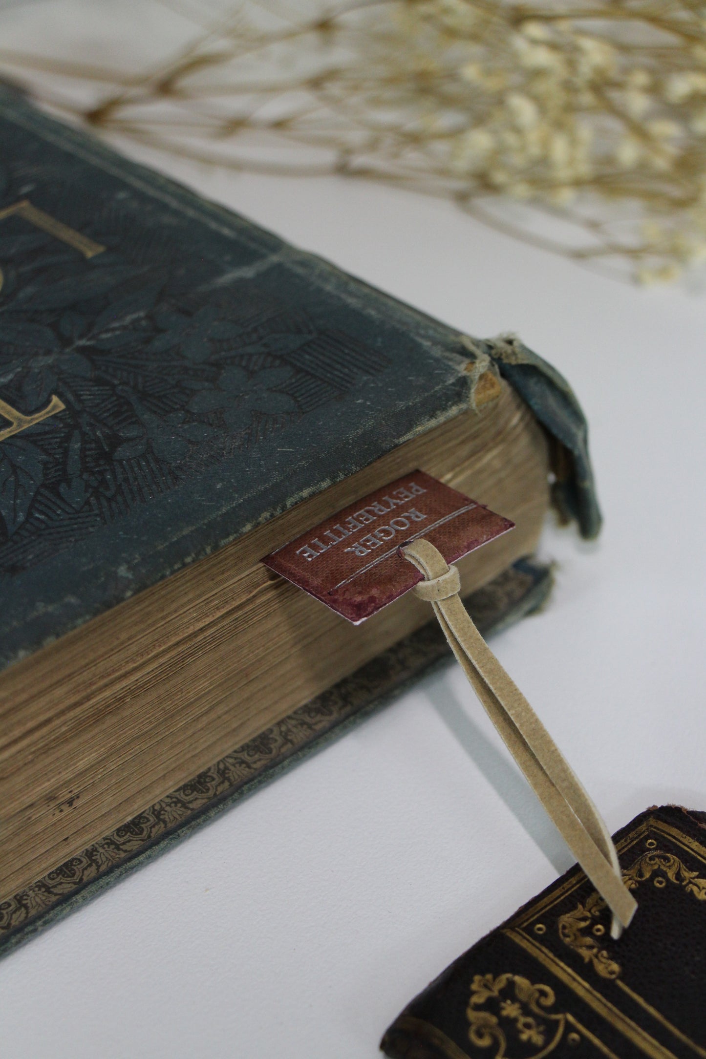 "Special Friendships" - Second Chapter Bookmark