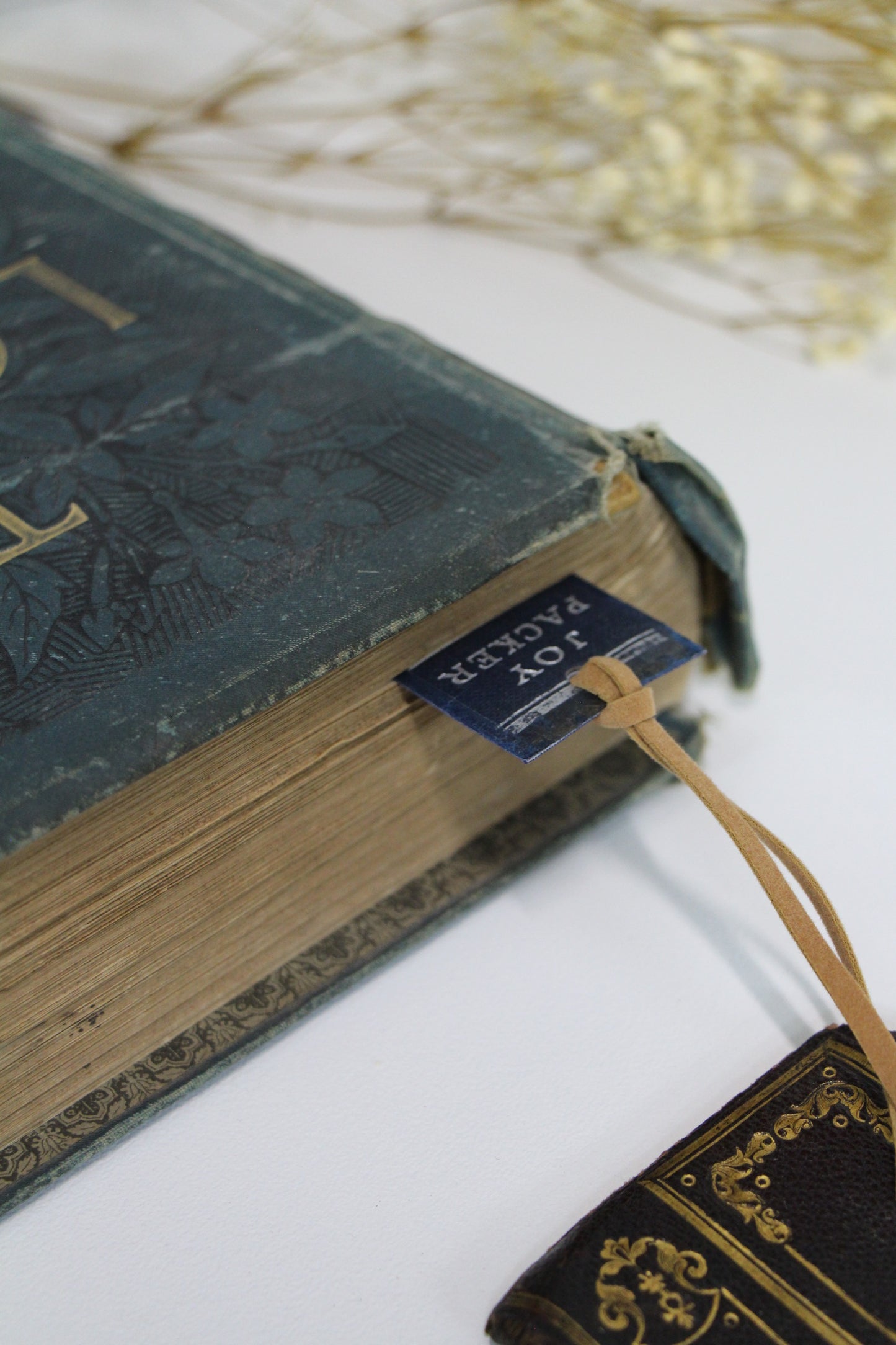 "Valley of the Vines" - Second Chapter Bookmark