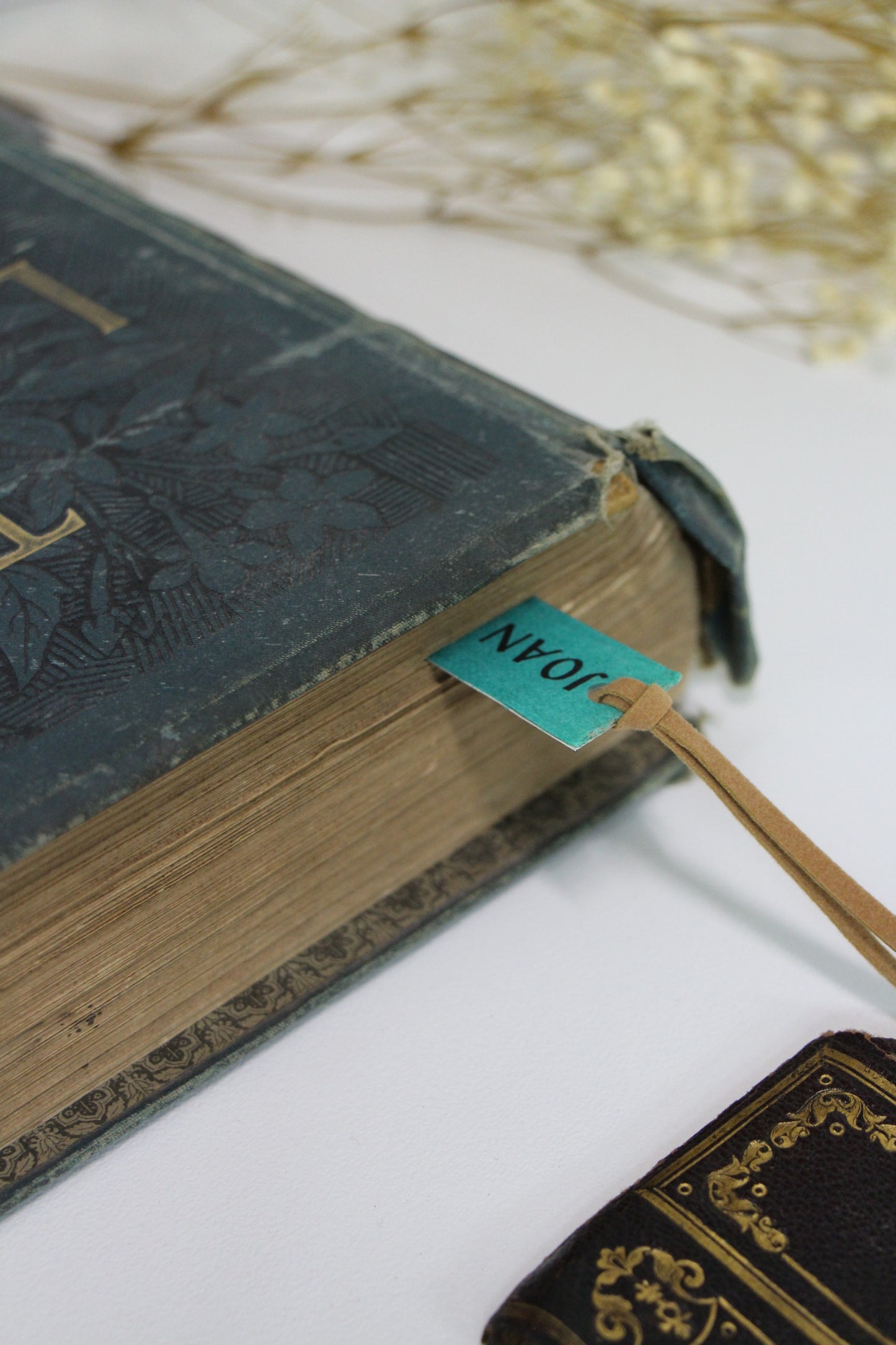 "Wild Boy" - Second Chapter Bookmark
