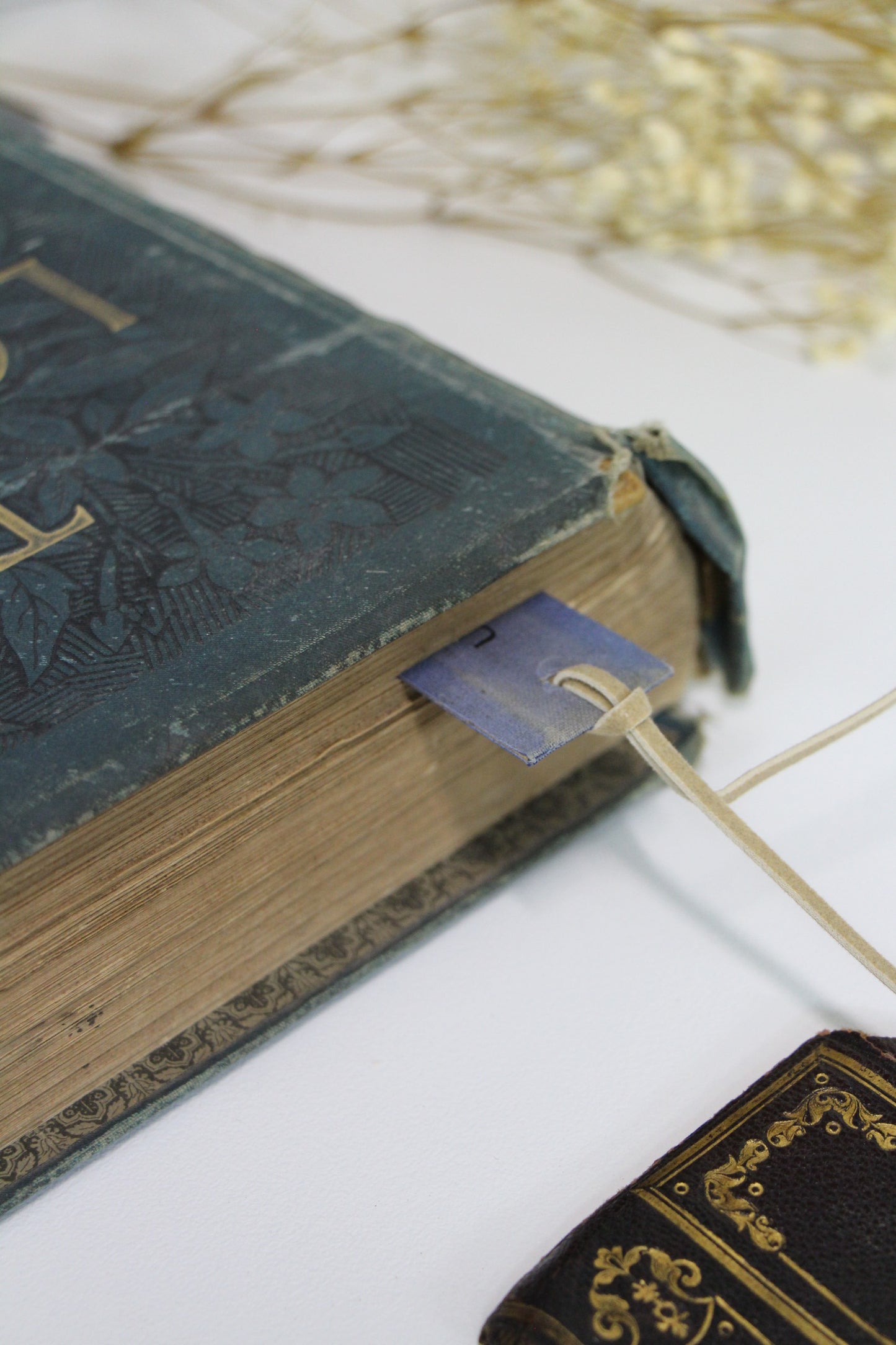 "Supermouse" - Second Chapter Bookmark
