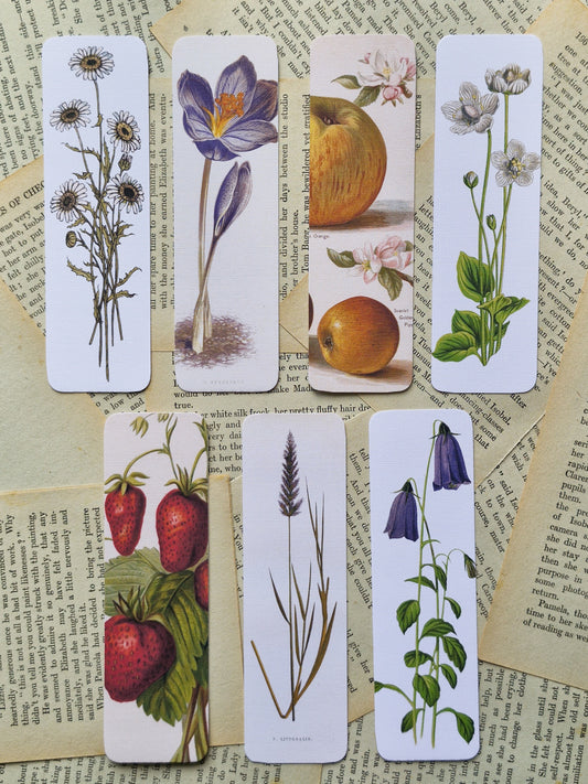 Botanical Vintage Series