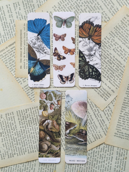 Garden Guests Series