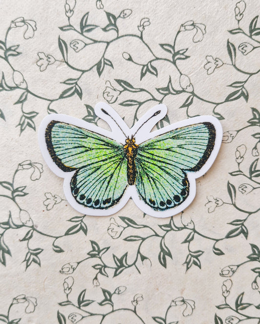 Green Butterfly Sticker