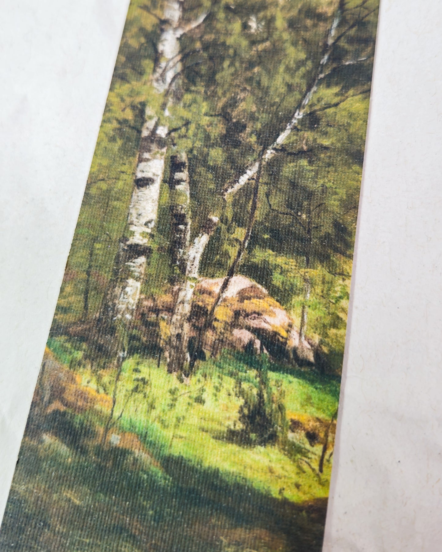 From the Forest Floor