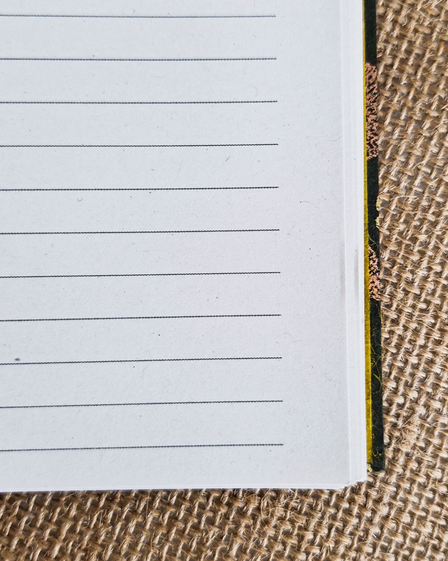 Hardback Secret Belgian Bound Journal - Lokta Ginko Leaf