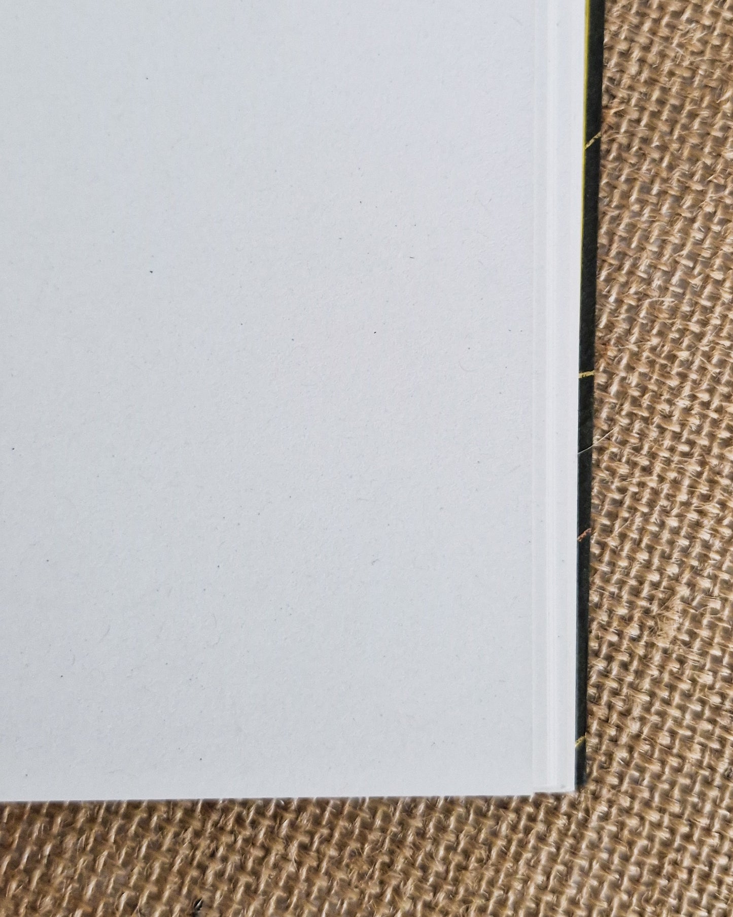Hardback Secret Belgian Bound Journal - Lokta Ginko Leaf