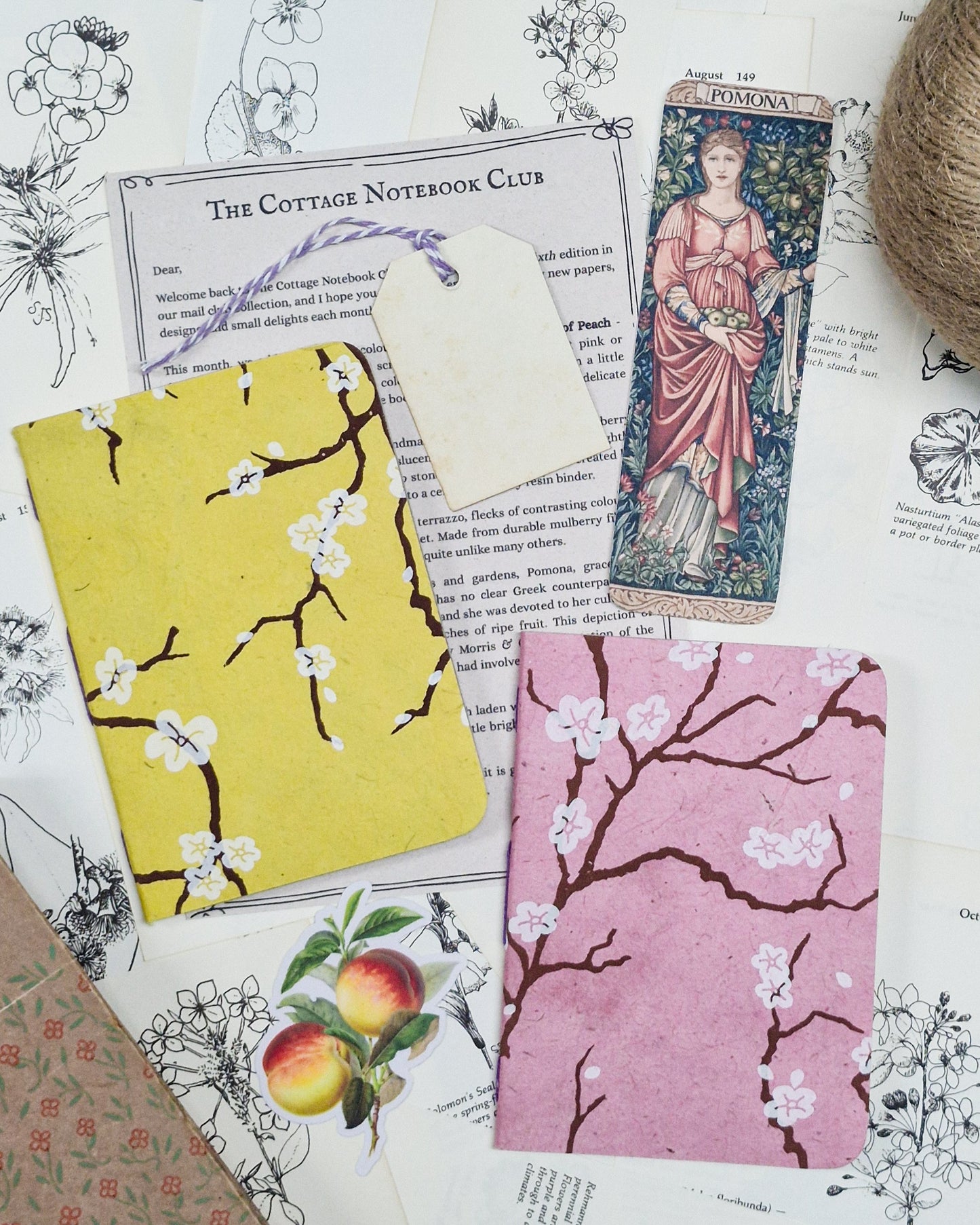 Cottage Club Edition #06 - August: Pops of Peach