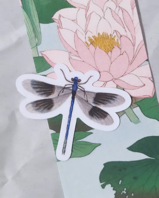 Vintage Blue Banded Damselfly Vinyl Sticker