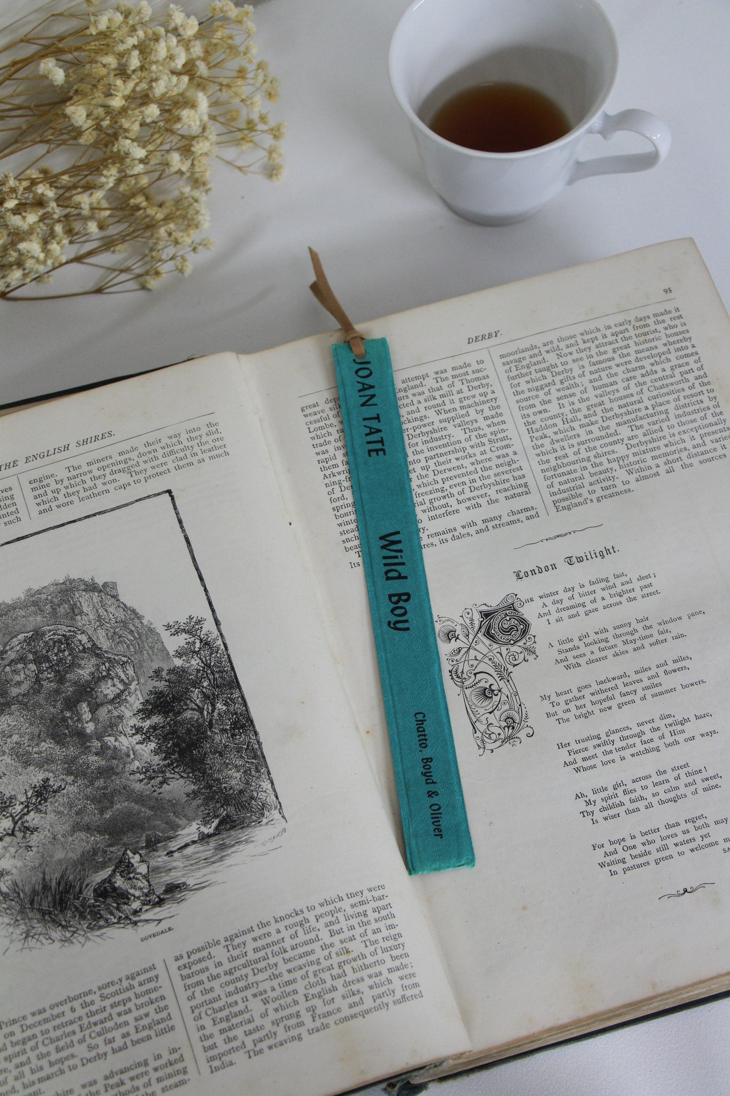 "Wild Boy" - Second Chapter Bookmark