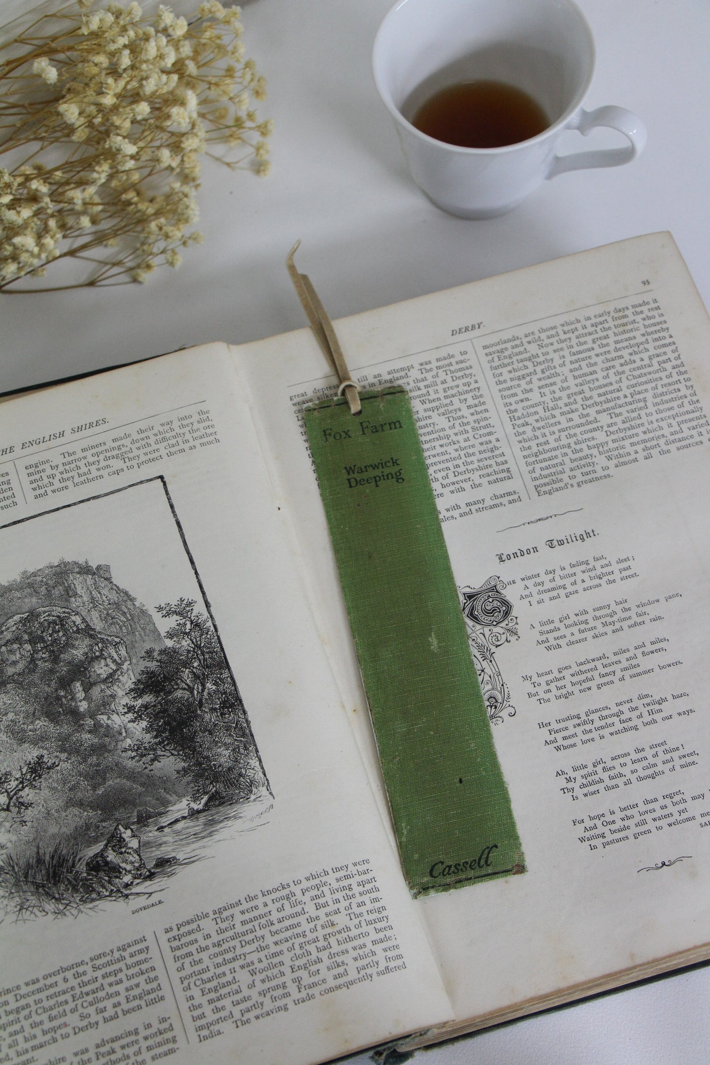 "Fox Farm" - Second Chapter Bookmark