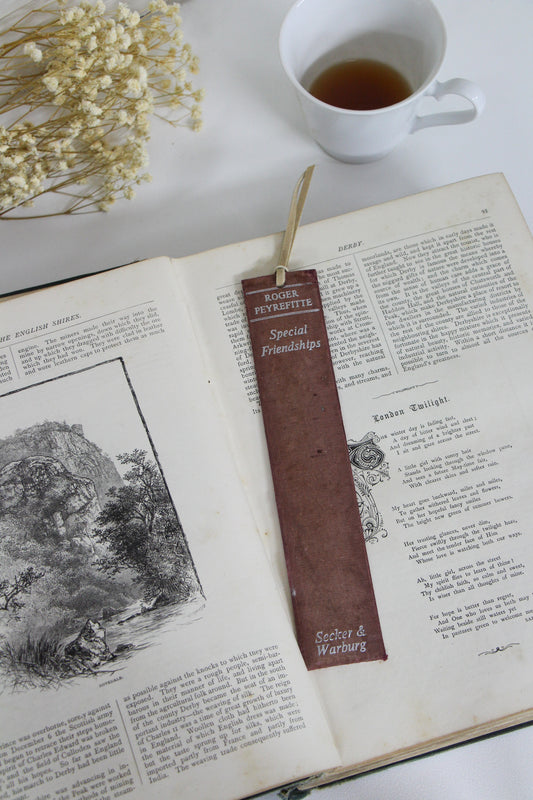"Special Friendships" - Second Chapter Bookmark