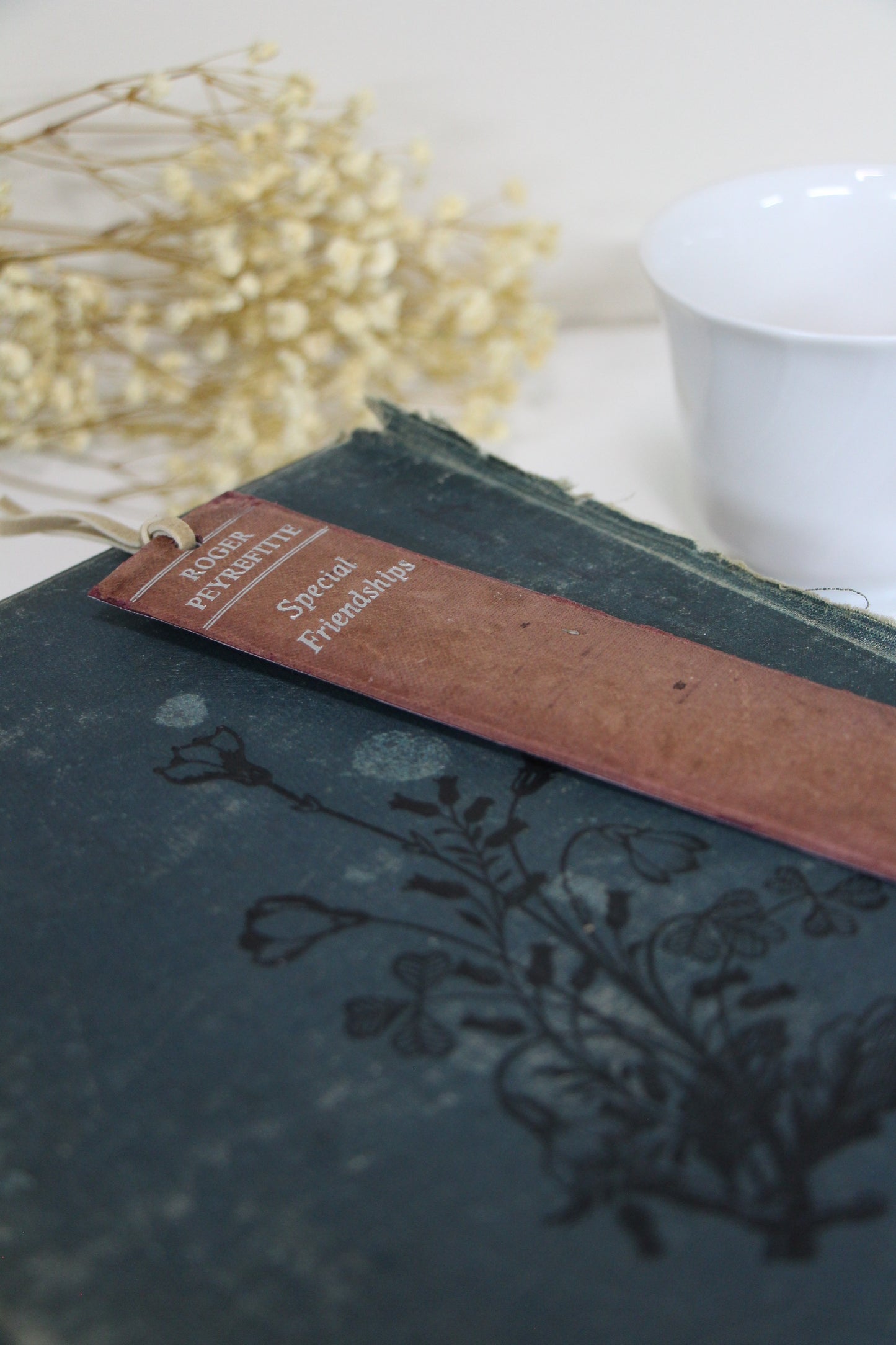 "Special Friendships" - Second Chapter Bookmark