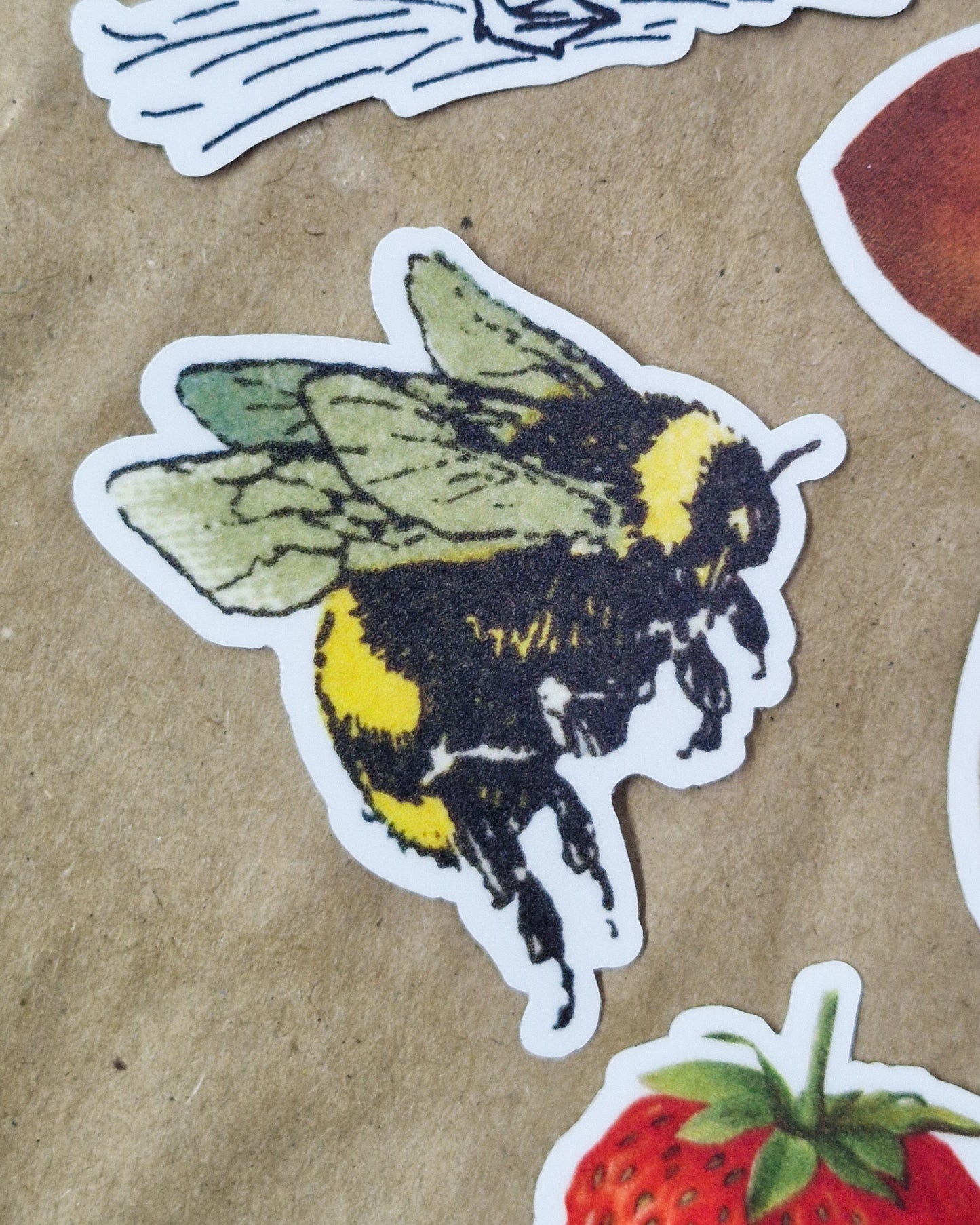 Vintage Bee Vinyl Sticker