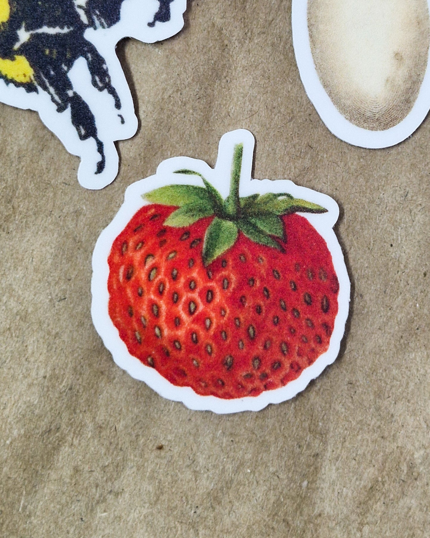 Vintage Strawberry Vinyl Sticker
