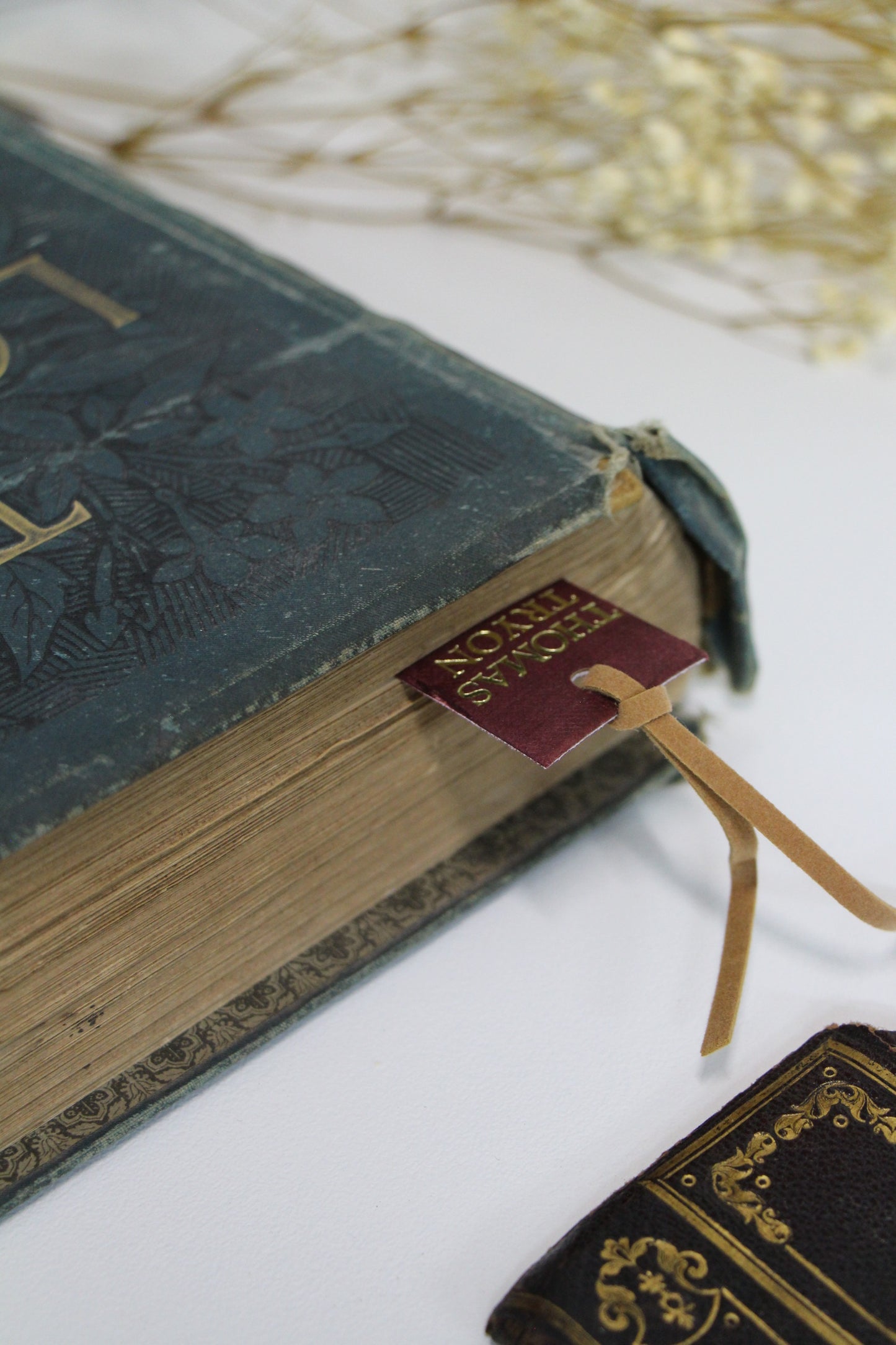 "Lady" - Second Chapter Bookmark