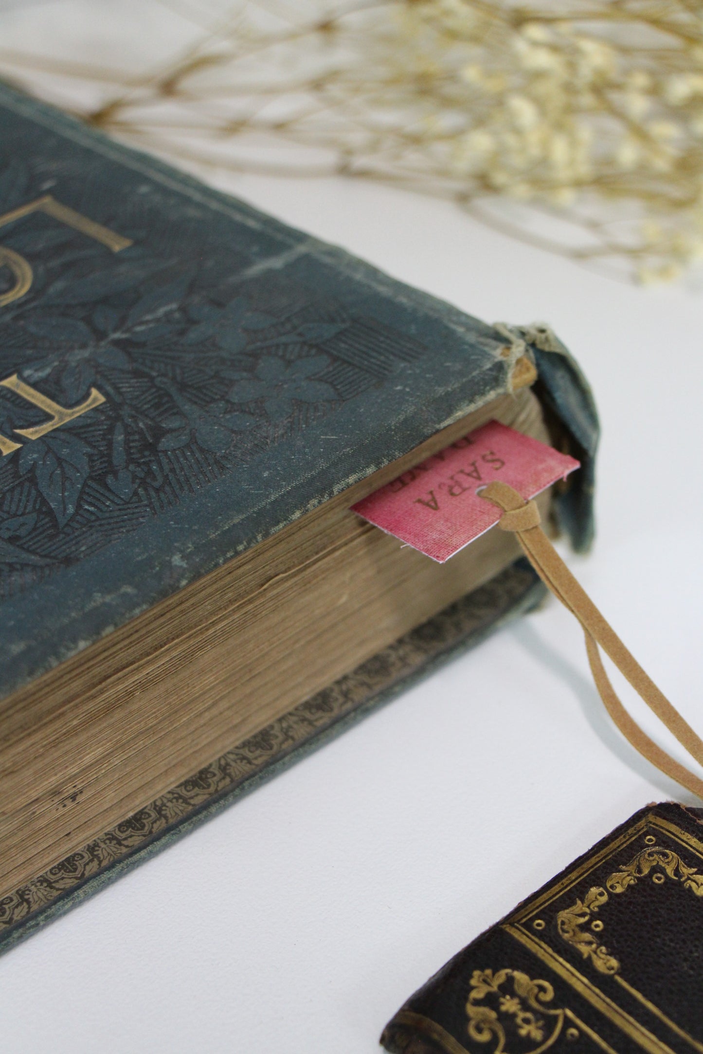 "Sara Dane" - Second Chapter Bookmark