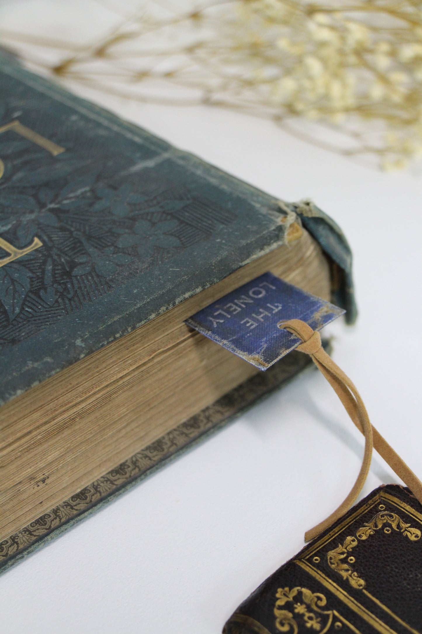 "The Lonely Sky" - Second Chapter Bookmark
