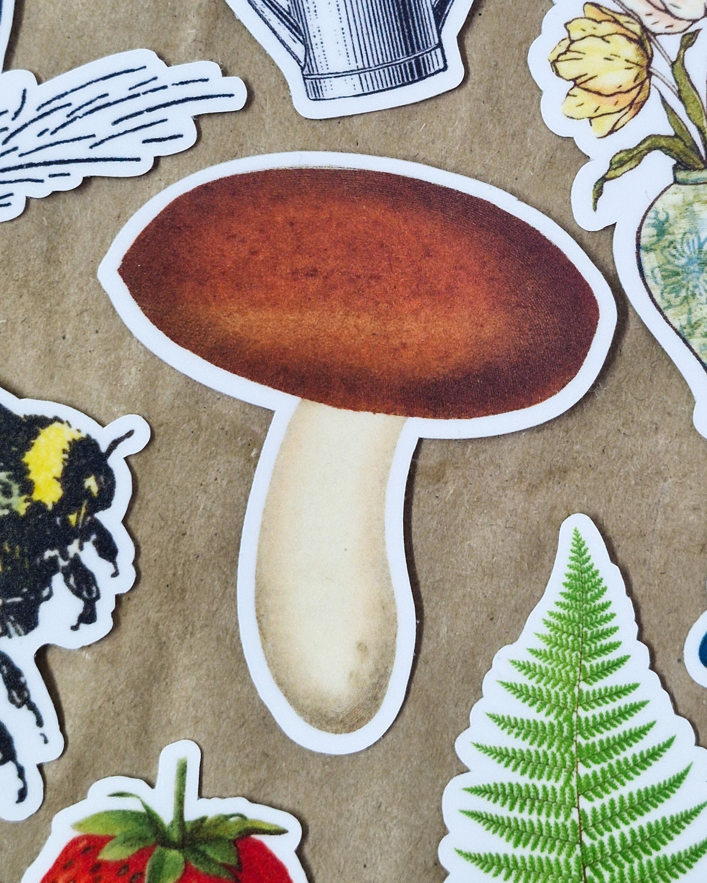 Vintage Mushroom Vinyl Sticker