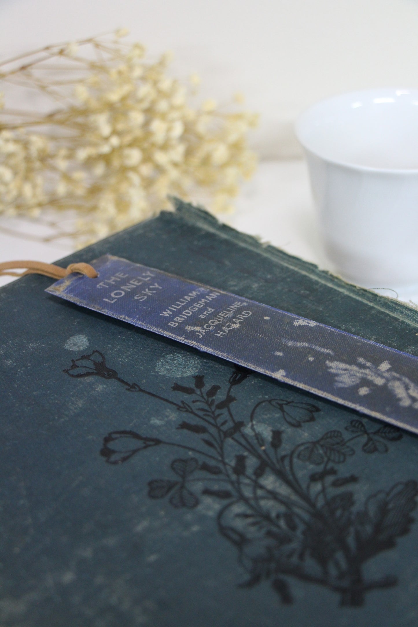 "The Lonely Sky" - Second Chapter Bookmark