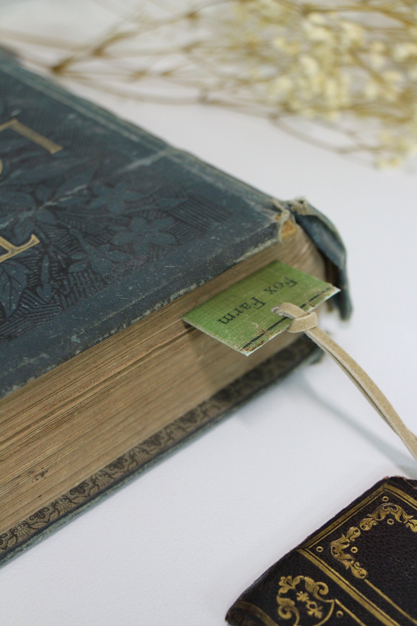 "Fox Farm" - Second Chapter Bookmark