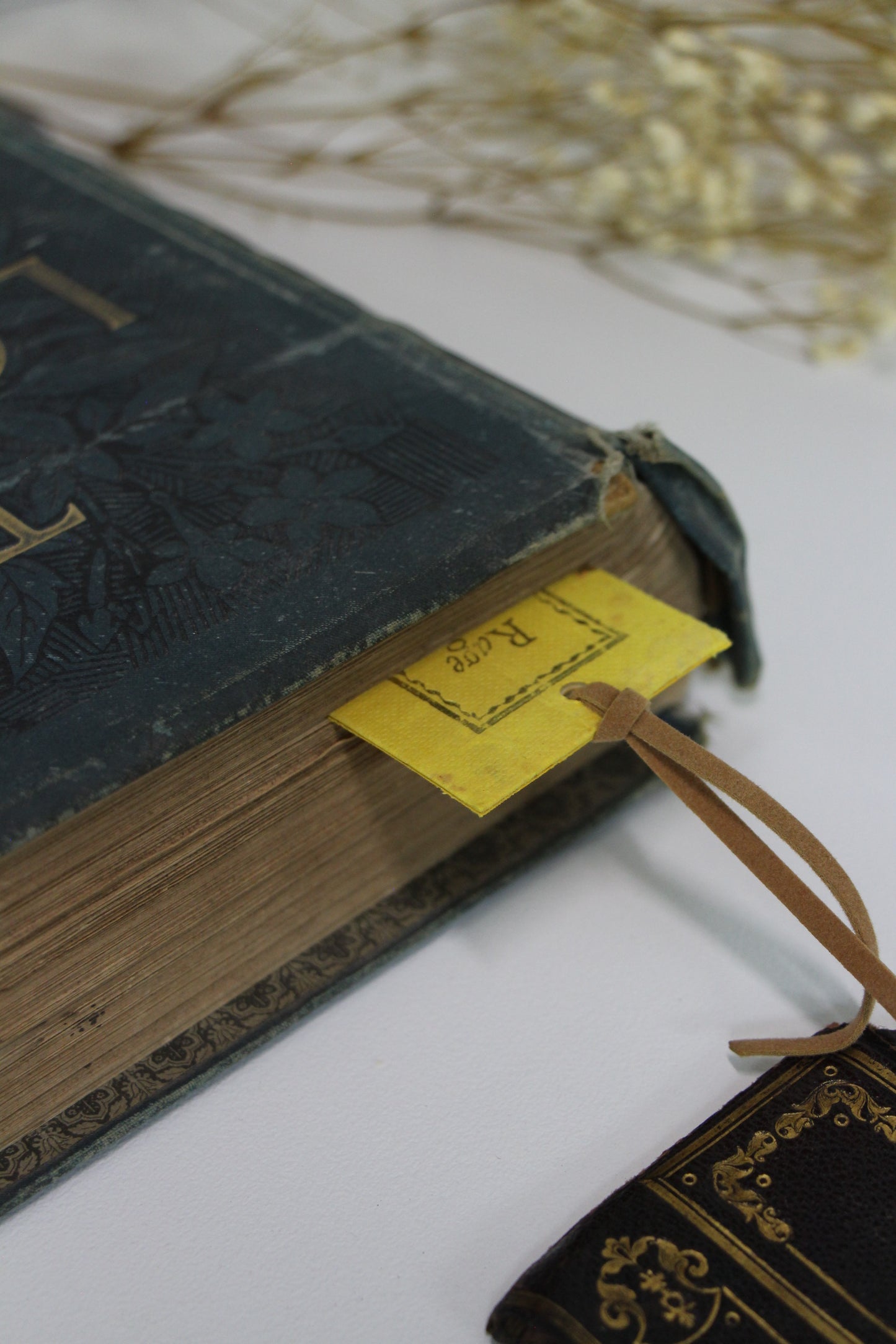 "Rage" - Second Chapter Bookmark