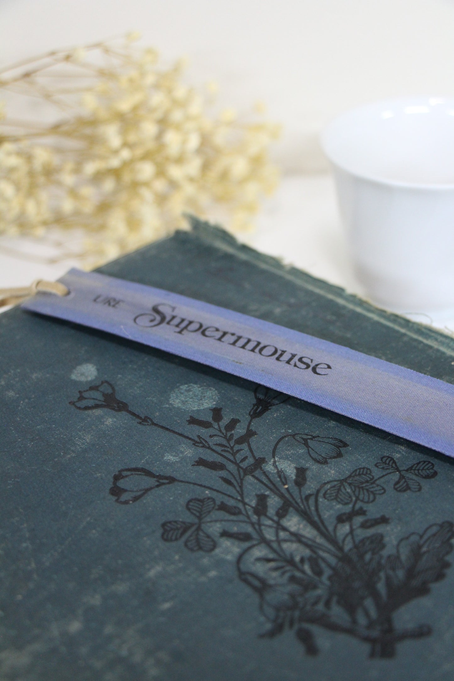 "Supermouse" - Second Chapter Bookmark