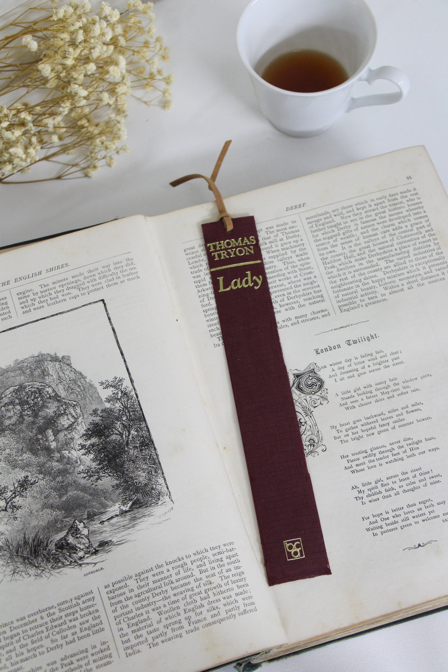 "Lady" - Second Chapter Bookmark