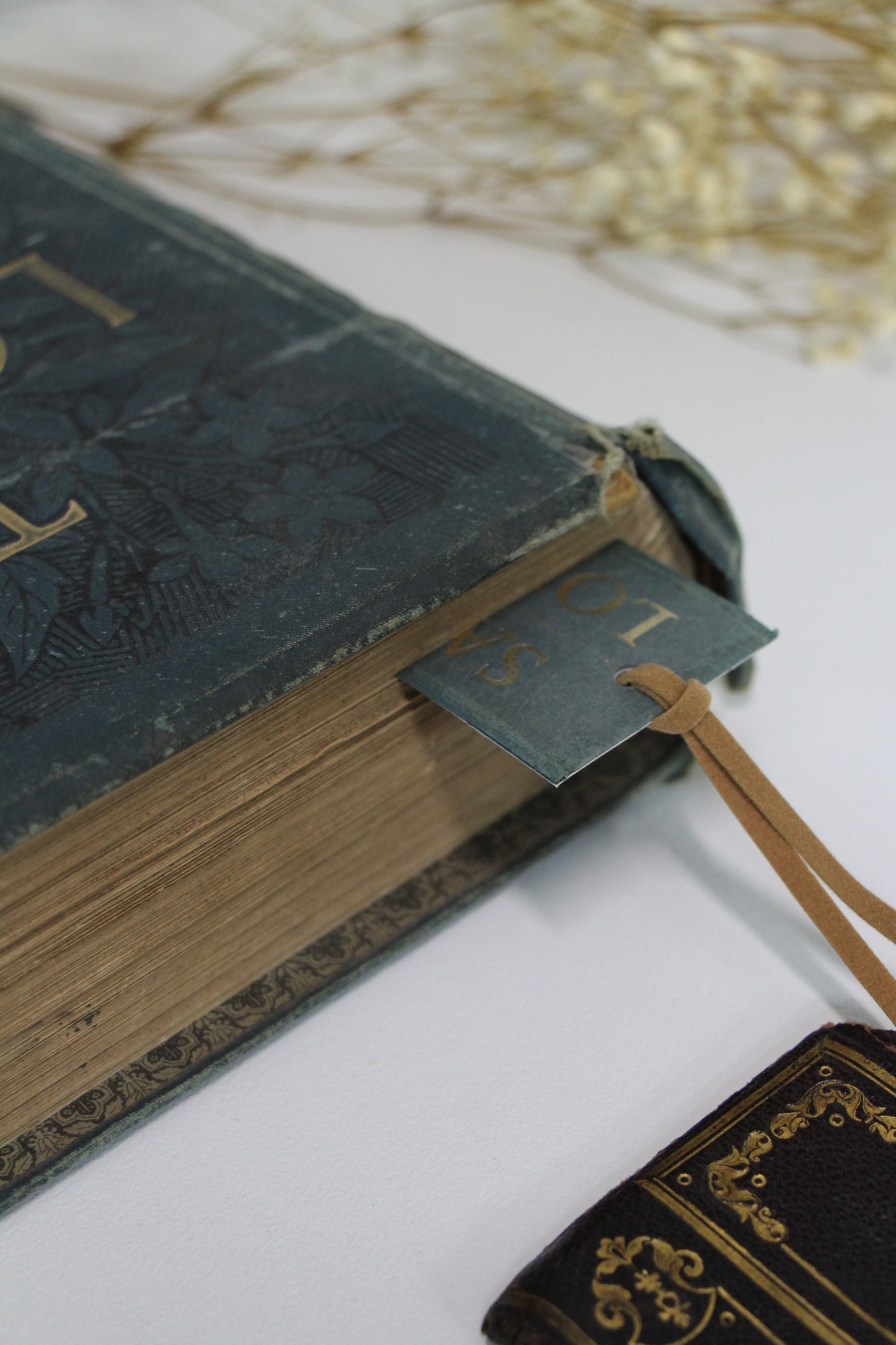 "Lovers and Liars" - Second Chapter Bookmark