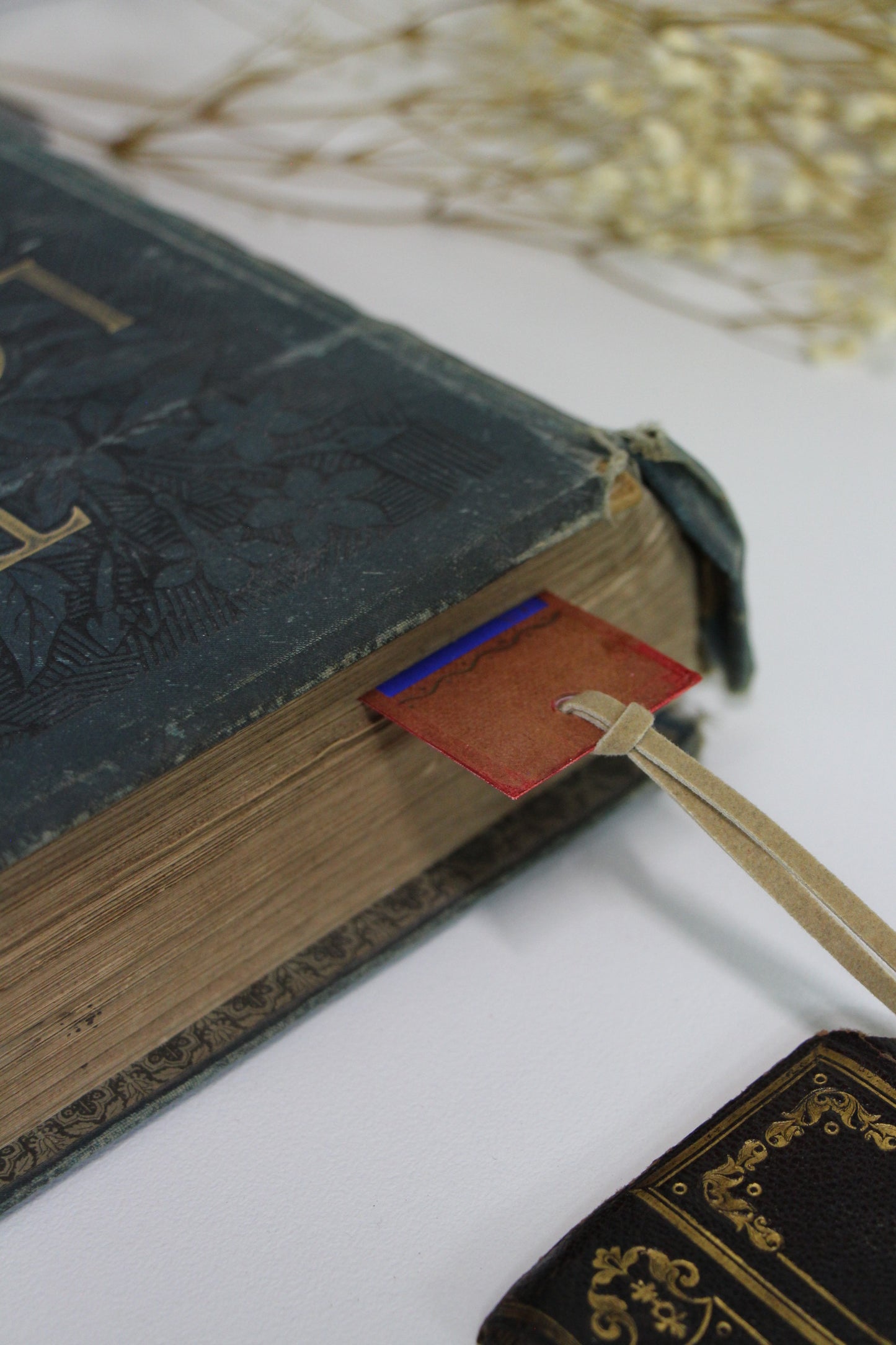"The Heart Has Its Reasons" - Second Chapter Bookmark