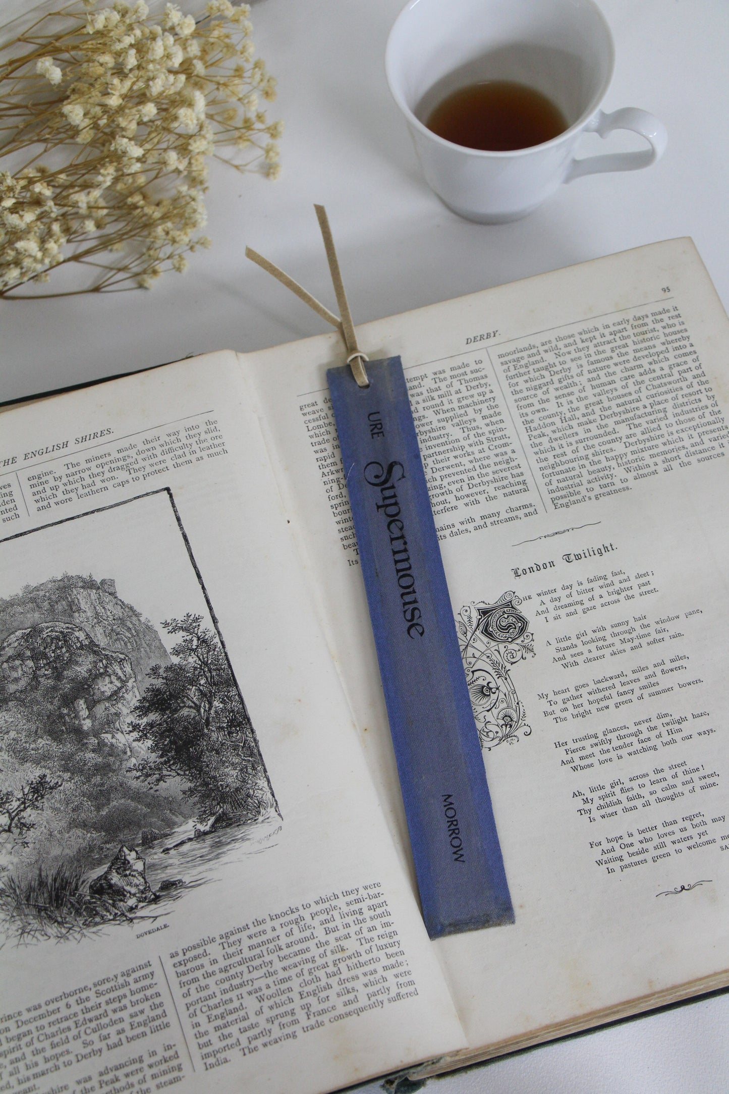 "Supermouse" - Second Chapter Bookmark