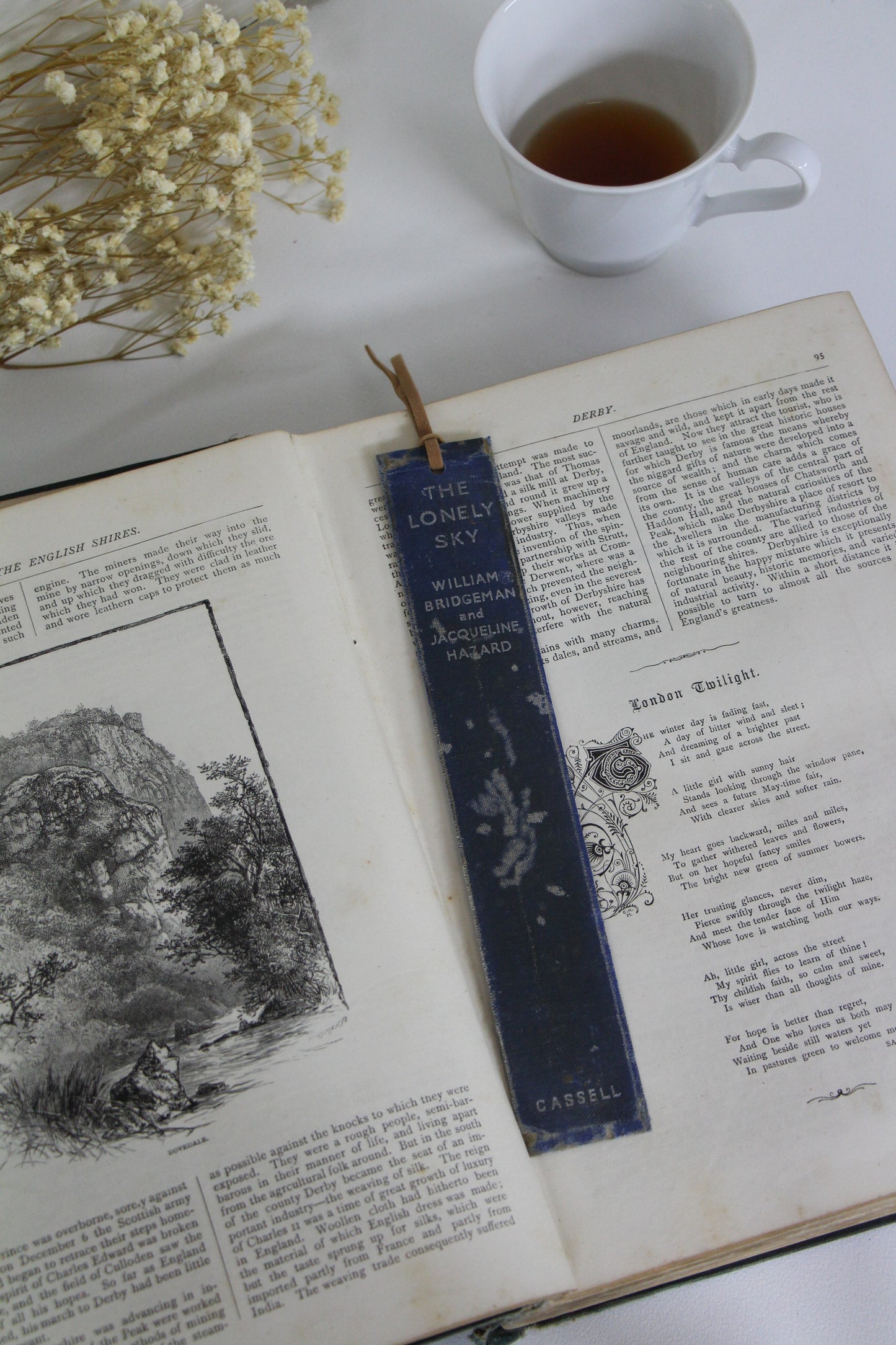 "The Lonely Sky" - Second Chapter Bookmark